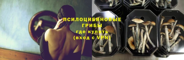 амф Алзамай