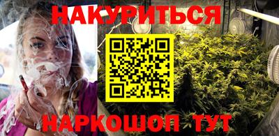 индика Пенза