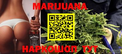 индика Пенза