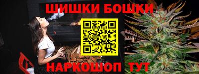 индика Пенза