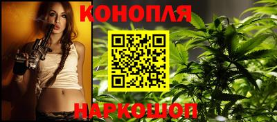 индика Пенза