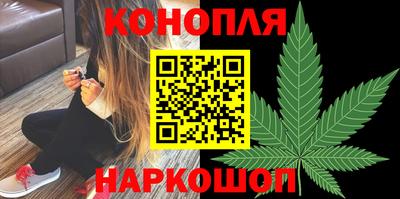 индика Пенза