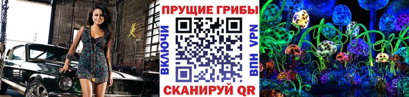 Галлюциногенные грибы Psilocybe  Киреевск 