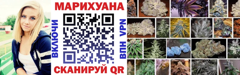 где купить наркотик  OMG   Шишки марихуана SATIVA & INDICA  Киреевск 
